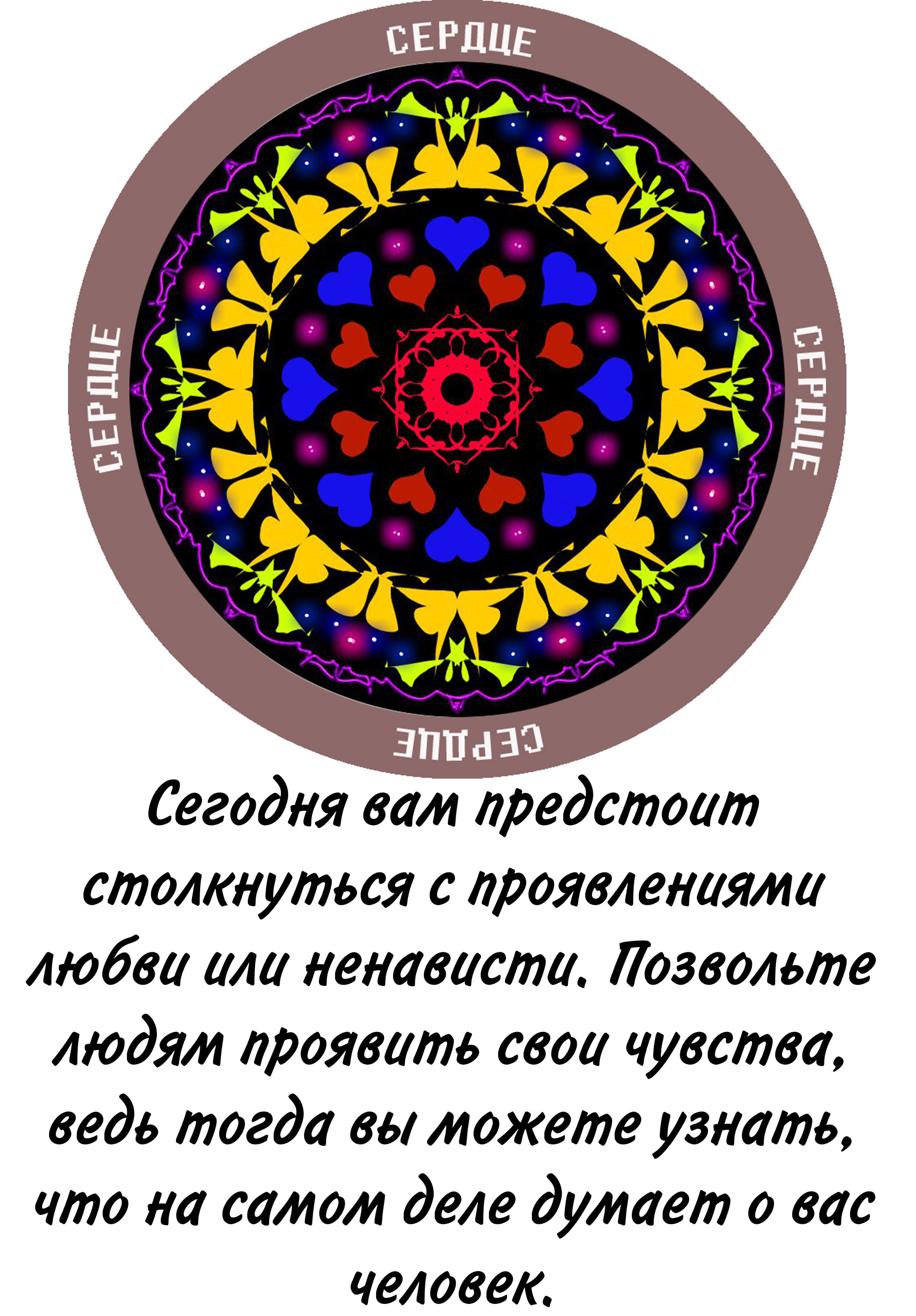 Изображение 24